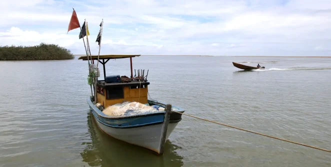 Pesca é liberada na foz do Rio Doce após dez anos de suspensão