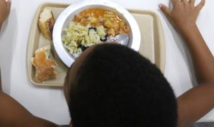 Dia Mundial da Alimentação terá projeção de vídeos no centro de Brasília