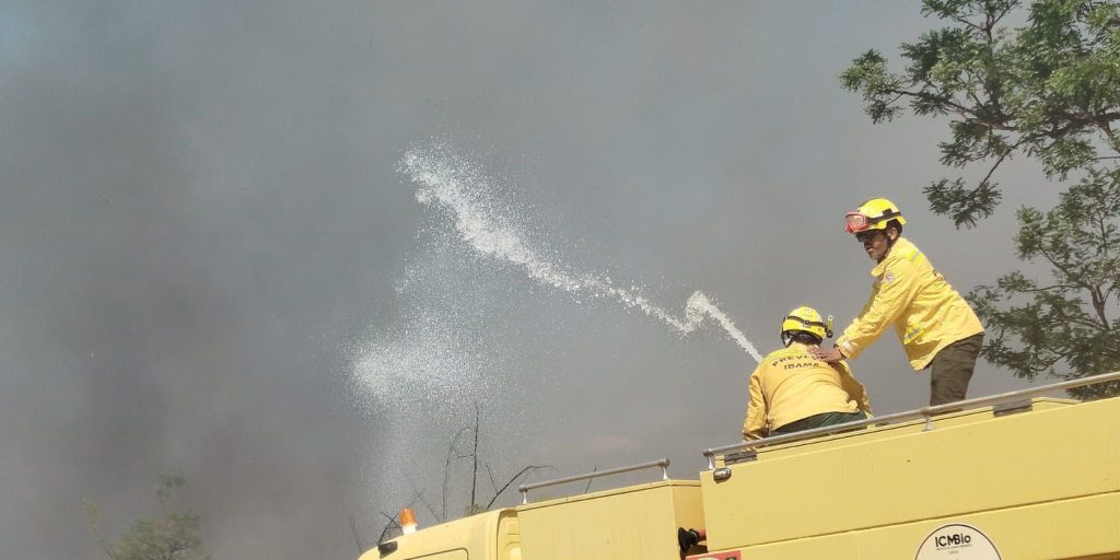Incêndio atinge área de mata do Centro Olímpico da UnB e é controlado após mais de duas horas
