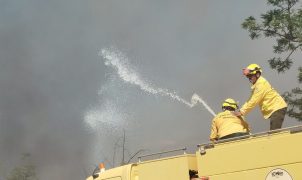 Incêndio atinge área de mata do Centro Olímpico da UnB e é controlado após mais de duas horas