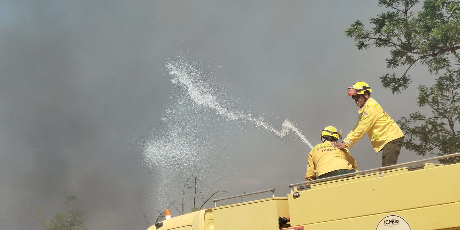 Incêndio atinge área de mata do Centro Olímpico da UnB e é controlado após mais de duas horas